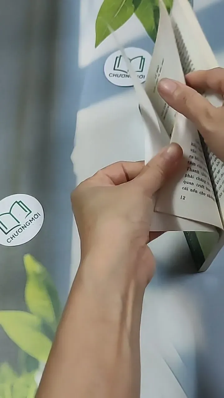 Nguyễn Du - Nhà văn và tác phẩm trong nhà trường (1999) 698560