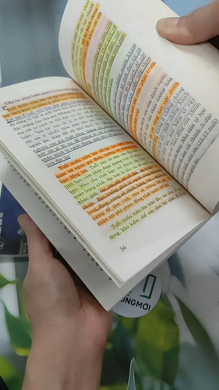 Combo Nghệ Thuật Tặng Hoa, Tặng Quà Và Những Lời Chúc Tốt Đẹp Nhất - Thái Bình 787502