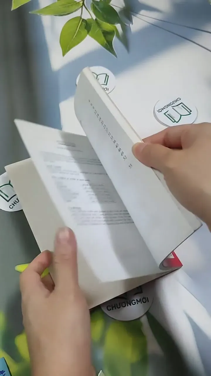 The Stranger - Norman Whitney 707313