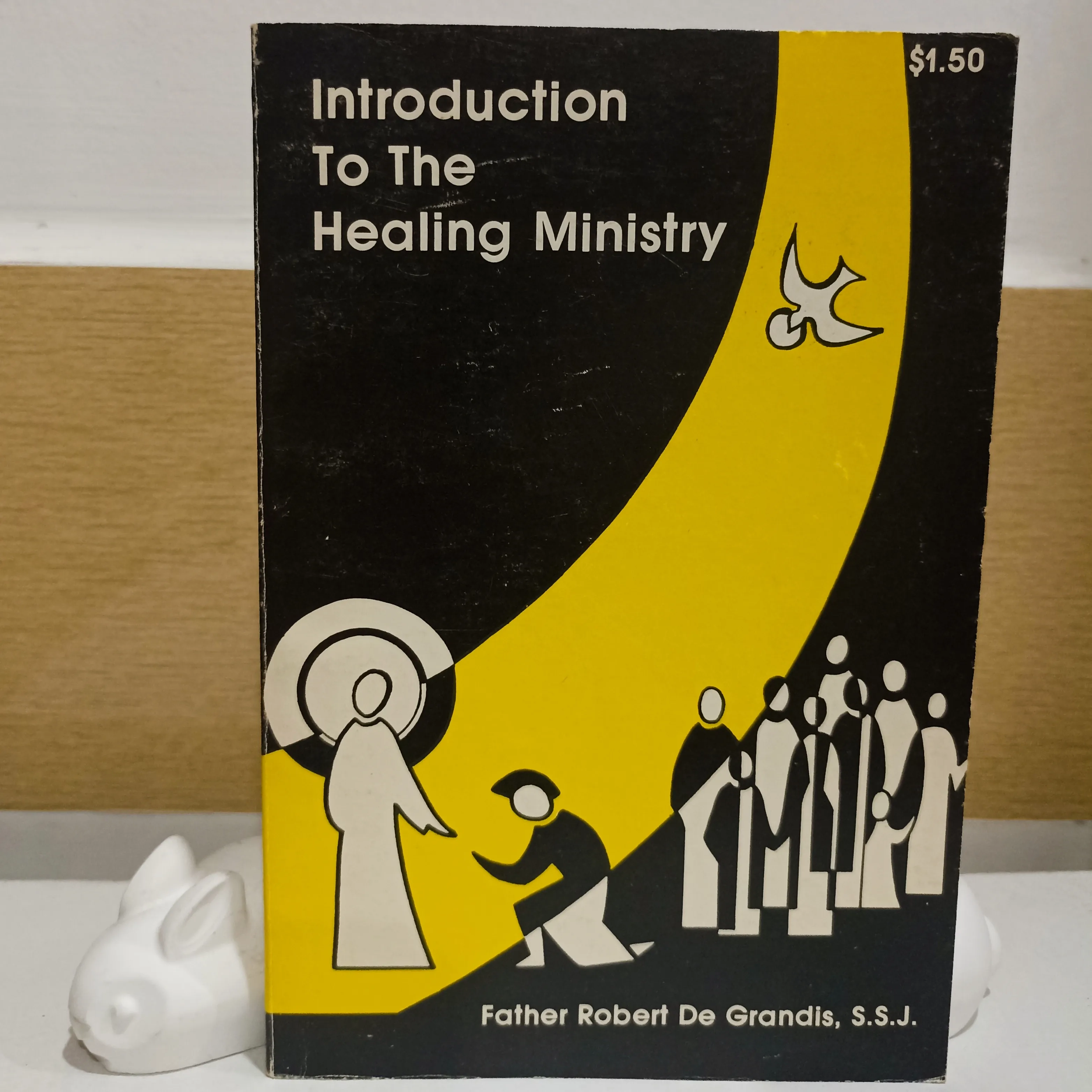 Introduction to the healing ministry 🌻 by  - Sách Book Cover - Ngọc Hiển Books