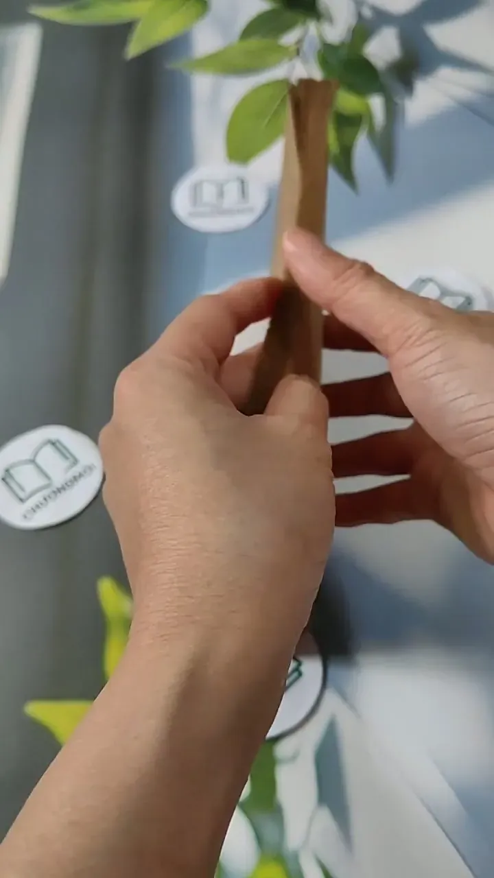 Giảng dạy bộ môn Tiếng Việt và Văn Học lớp 5 cải cách giáo dục (tập 4) - Đặng Mạnh Thường 713804