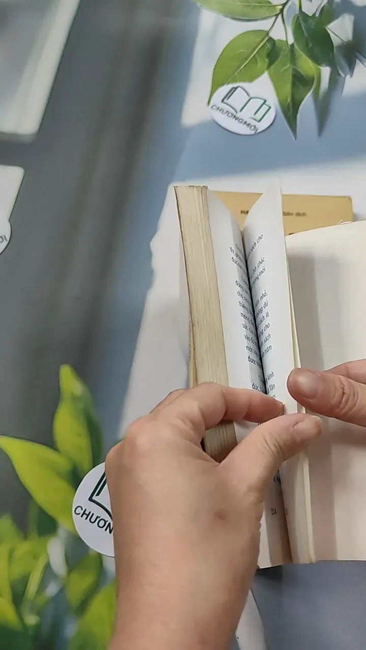 Combo: Nhân Quả Báo Ứng, Báo Ứng Hiện Đời 776102