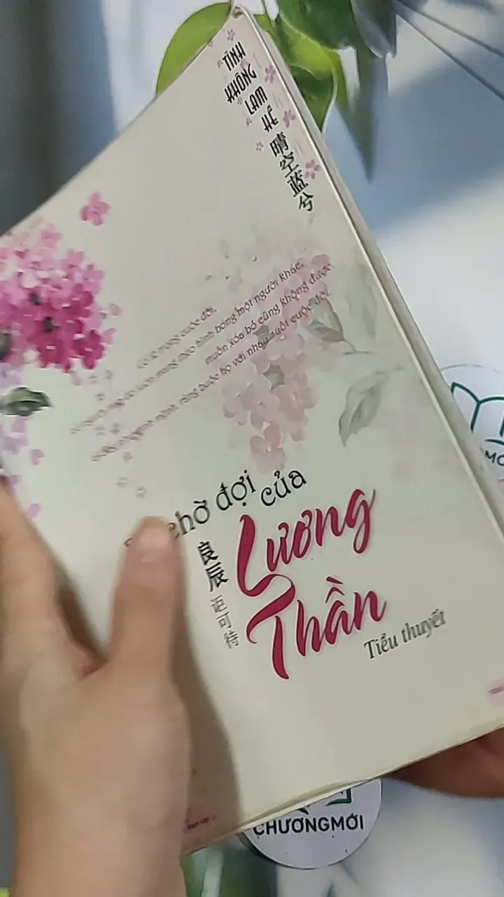 Sự chờ đợi của Lương Hằng - Tinh Không Lam Hề 688685