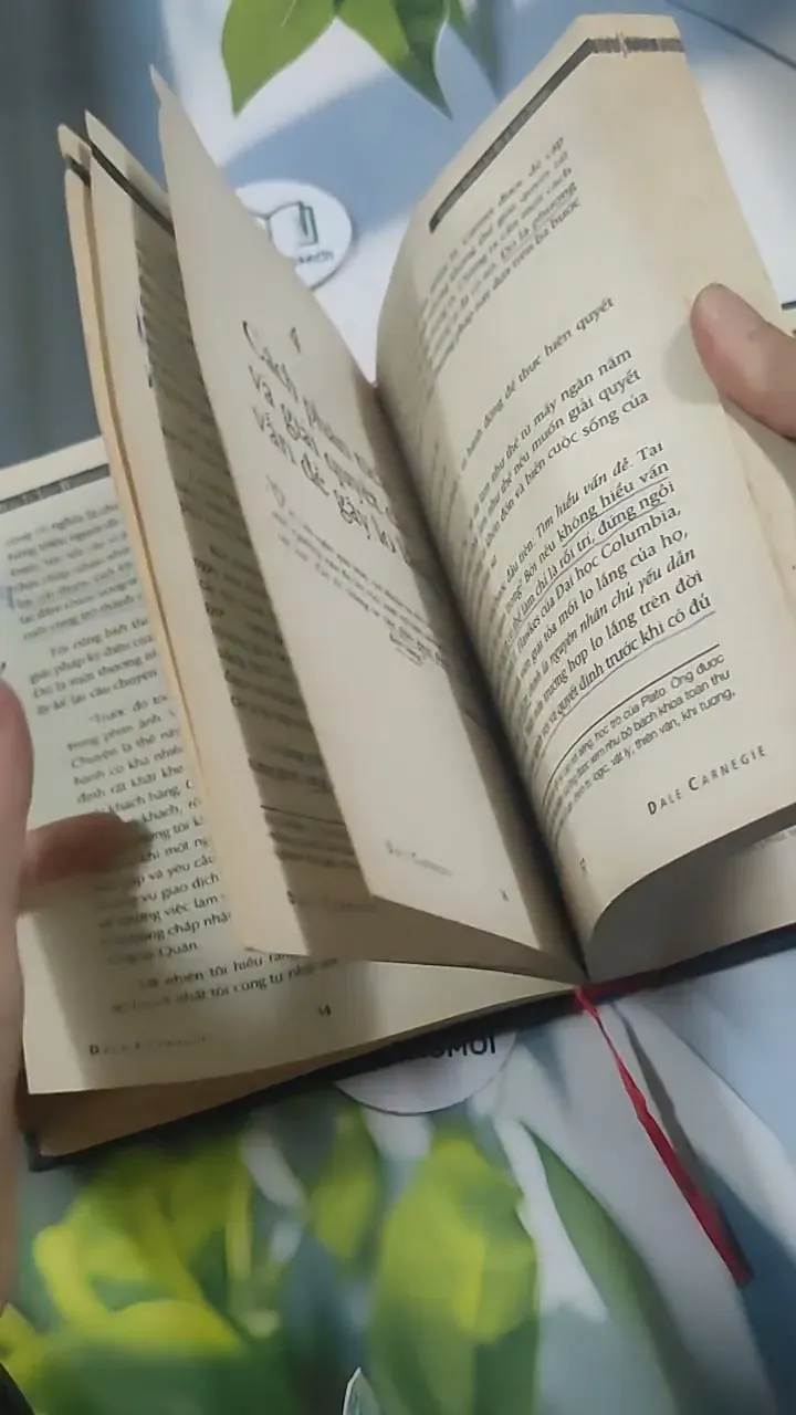 Quẳng Gánh Lo Đi & Vui Sống - Dale Carnegie 715576