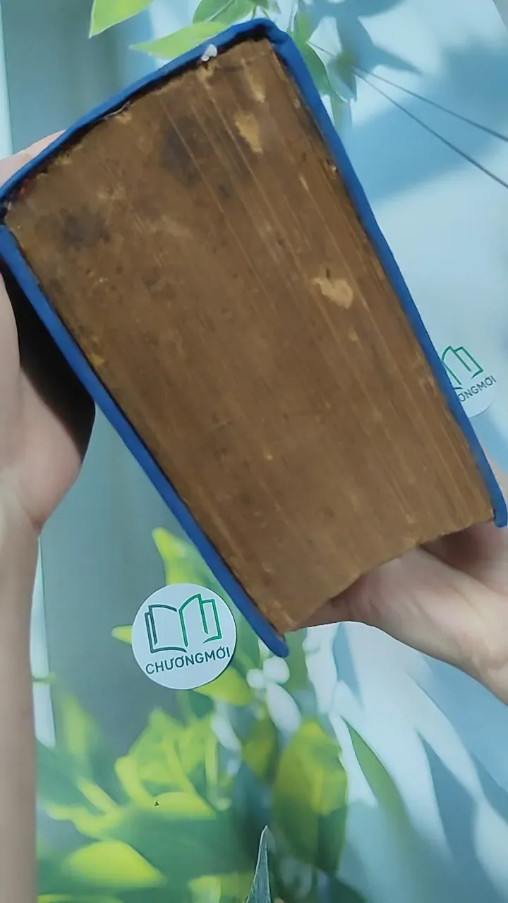 [MIỄN PHÍ BỌC SÁCH] Từ Điển Anh - Việt - Viện Ngôn Ngữ 750747