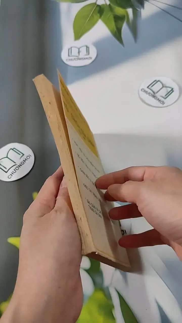 Đồ Điện Tử Trong Gia Đình - Nguyễn Hữu Tháng & Vũ Lương & Cao Thụy 713820