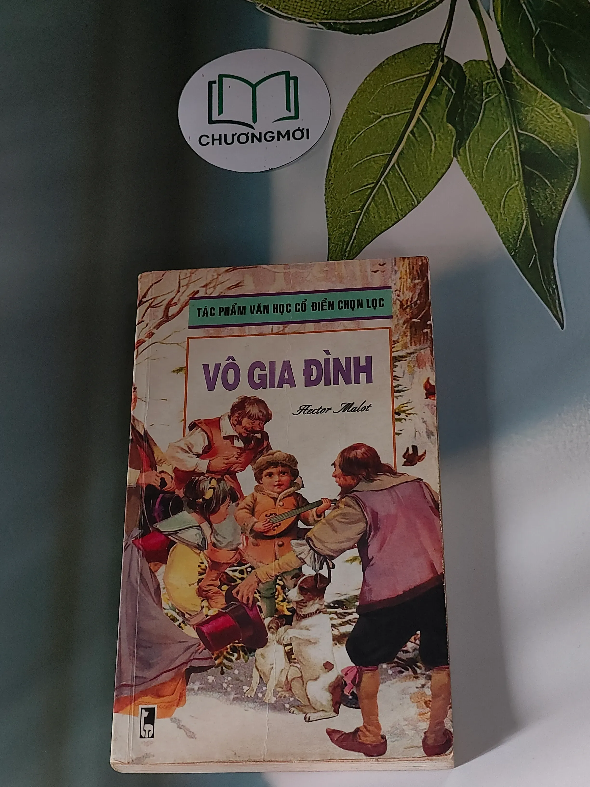 Vô Gia Đình (2001) - Hector Malot