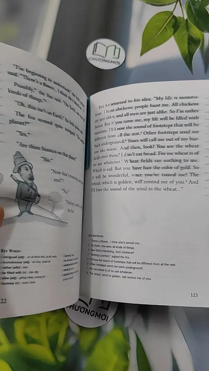 The Little Prince - 800 Words - Antoine de Saint-Exupéry 754533