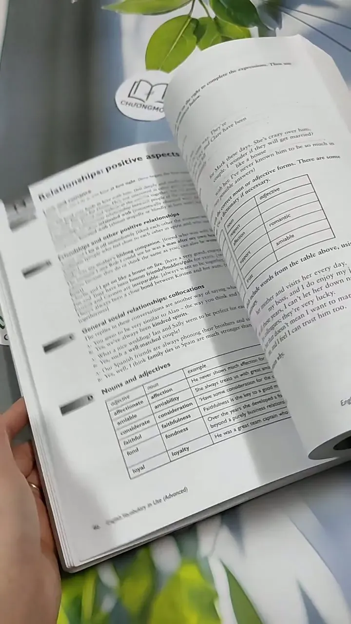 English Vocabulary In Use 713917