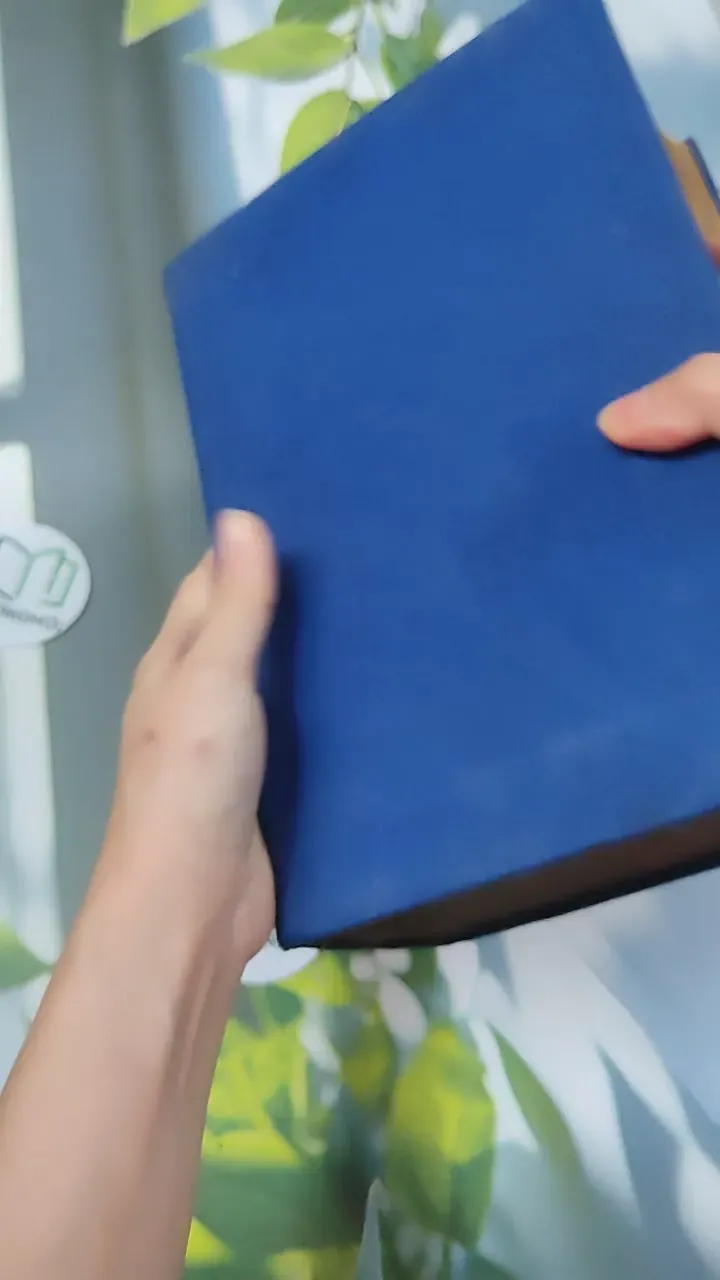 [MIỄN PHÍ BỌC SÁCH] Từ Điển Anh - Việt - Viện Ngôn Ngữ 750747