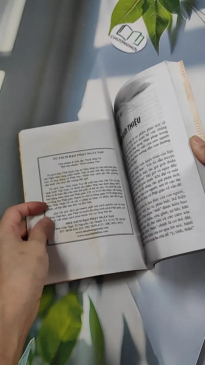 Ý Tình Thân - Thích Trí Siêu 776124