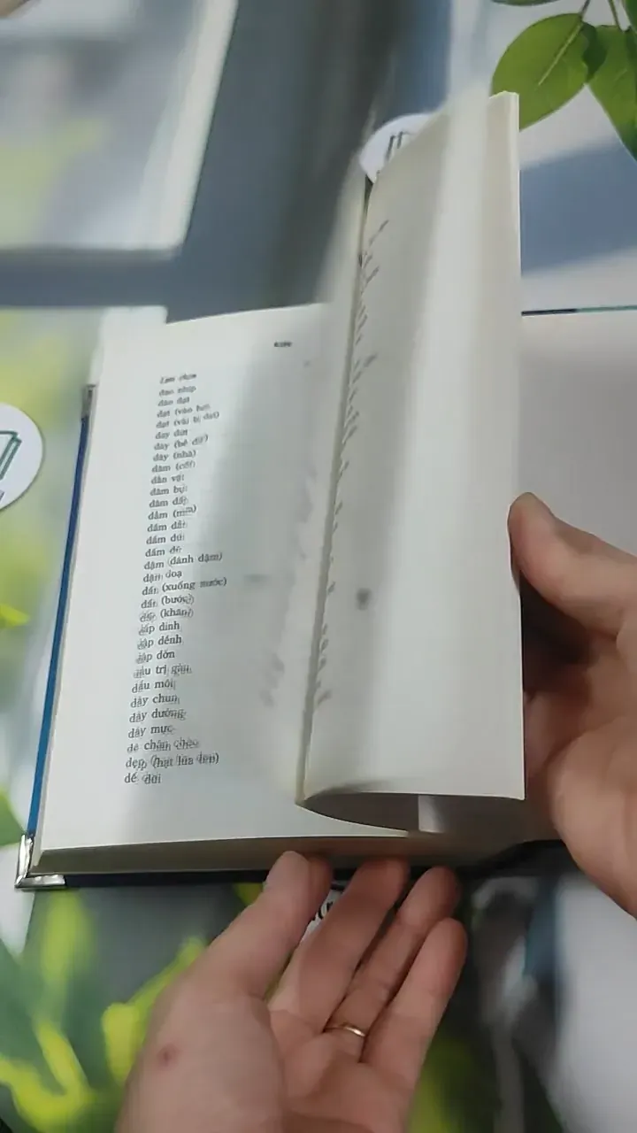 Từ Điển Chính Tả Tiếng Việt Phổ Thông - Nguyễn Văn Khang 727389