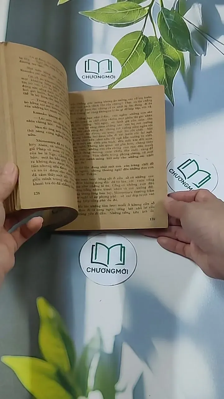 [MIỄN PHÍ BỌC SÁCH] Vùng Băng Tuyết (1988) - Y Kawabata 674973