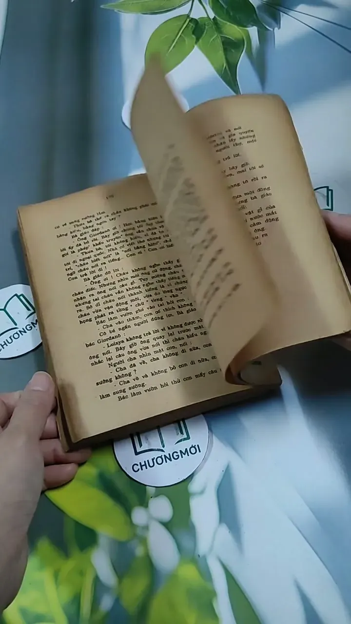 Tâm Hồn Cao Thượng (1989) 713894