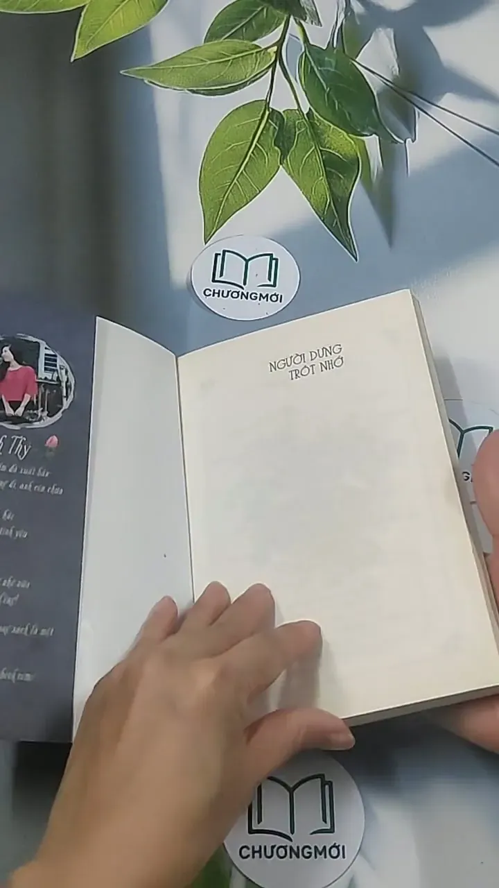 Người dưng trót nhớ - Quỳnh Thy 694933