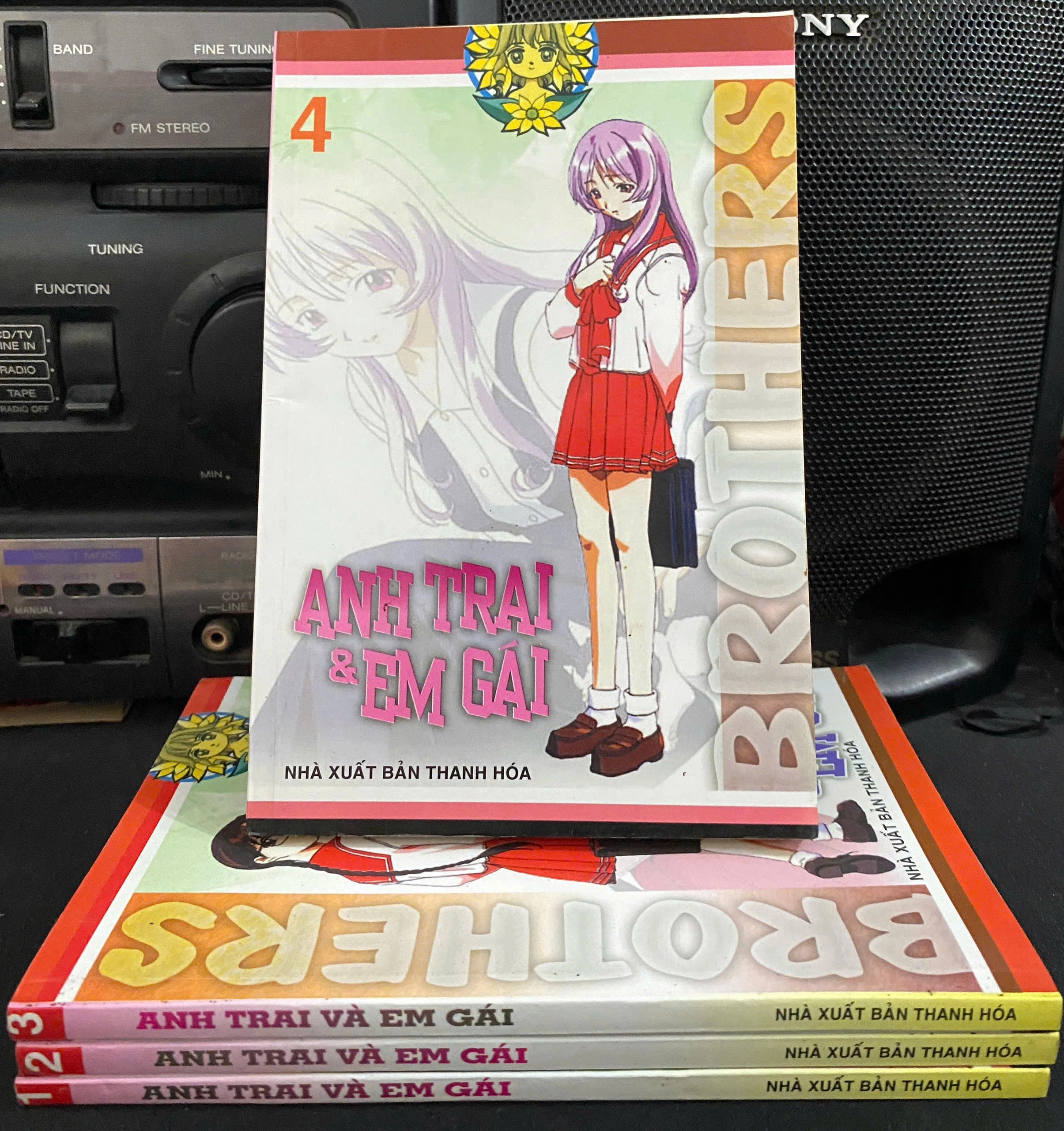 Anh Trai Và Em Gái by  - Sách Book Cover - Ngọc Hiển Books