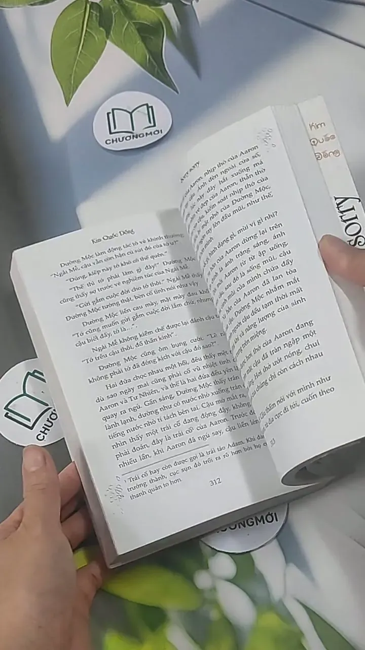 Sorry Sorry - Kim Quốc Đống 705548