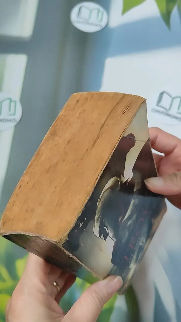 [MIỄN PHÍ BỌC SÁCH] [XƯA] Troy: Lord of the Silver Bow (1984) - David Gemmell 754500