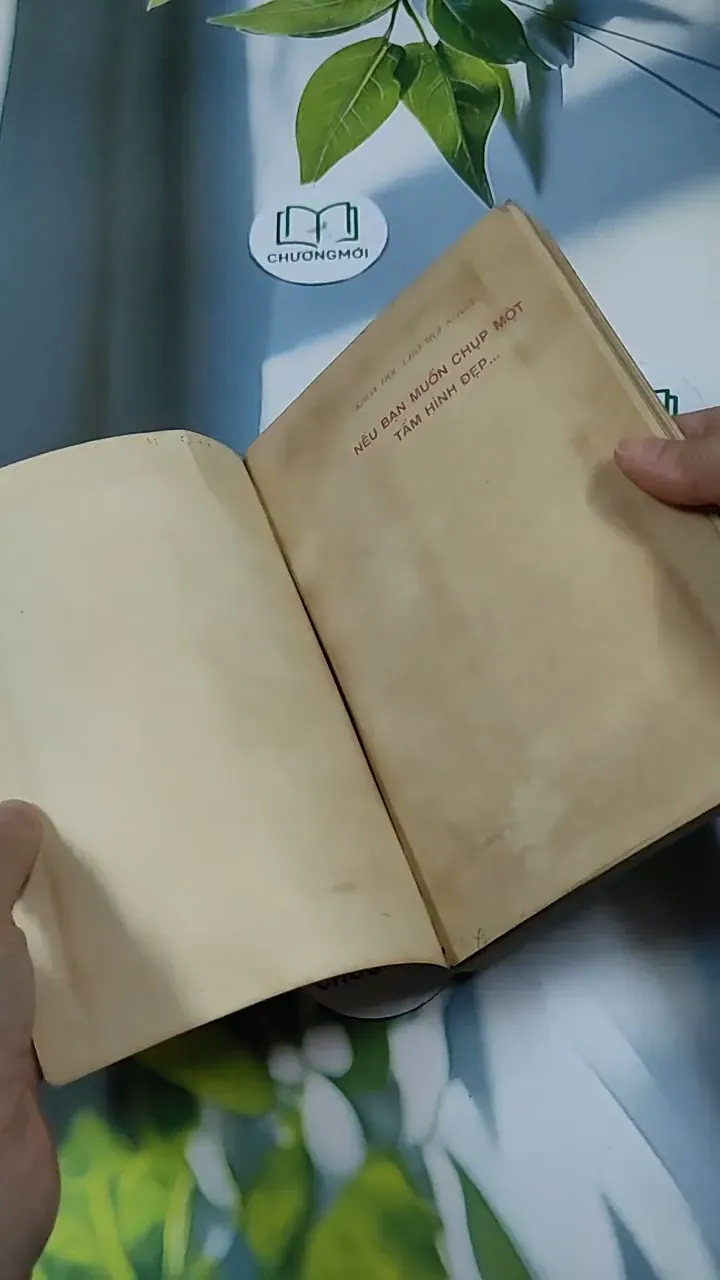 Nếu Bạn Muốn Chụp Một Tấm Hình Đẹp - Ninh Hùng 713856