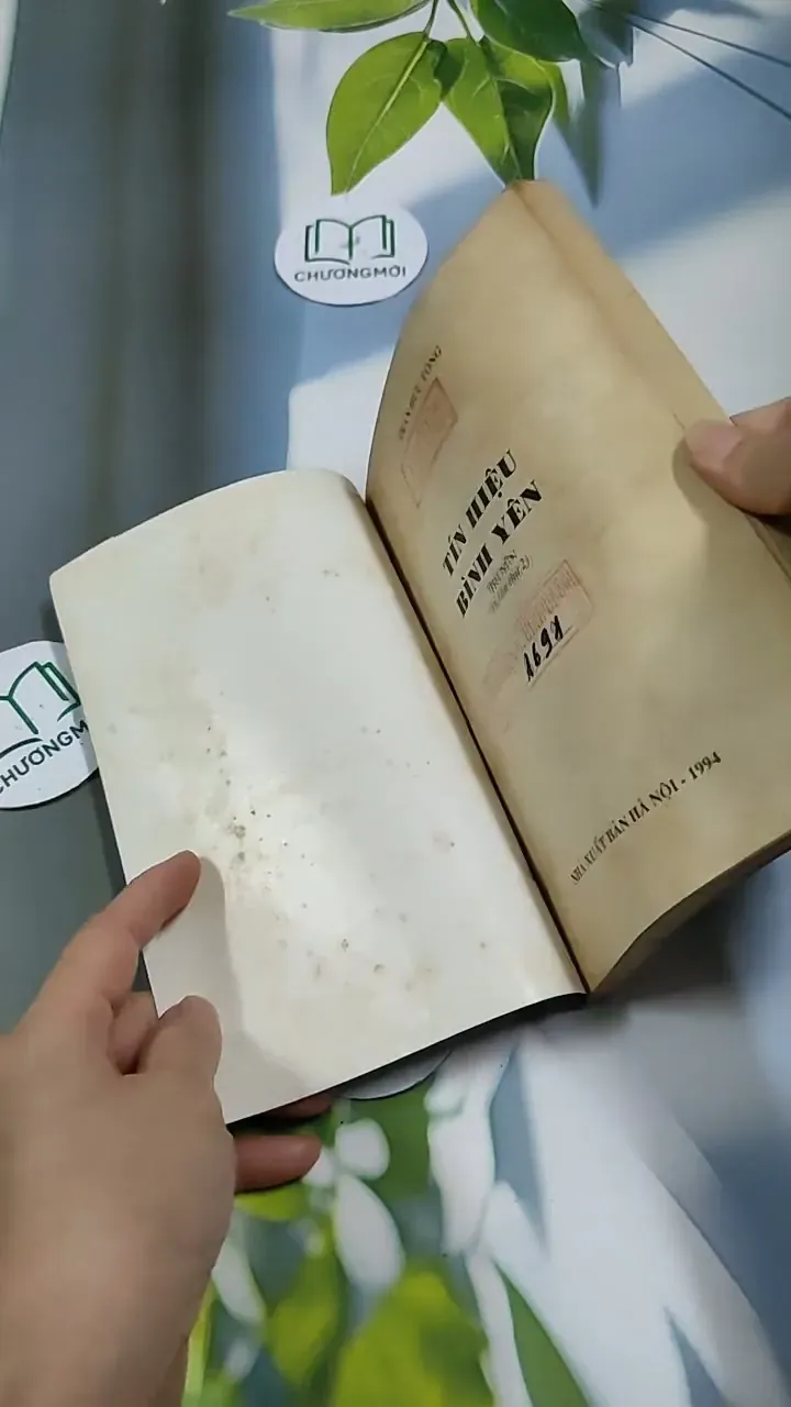 Tín Hiệu Bình yên - Nguyễn Hữu Tòng 713896