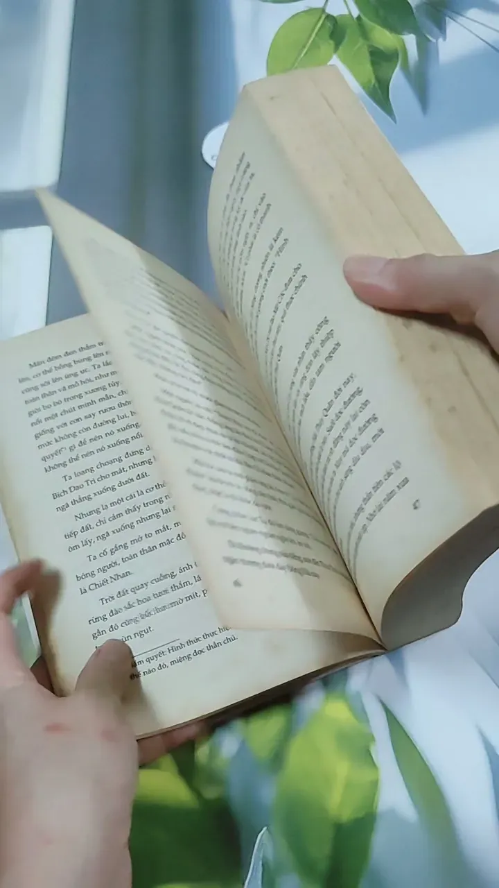 Tam Sinh Tam Thế Thập Lý Đào Hoa - Đường Thất Công Tử 744729