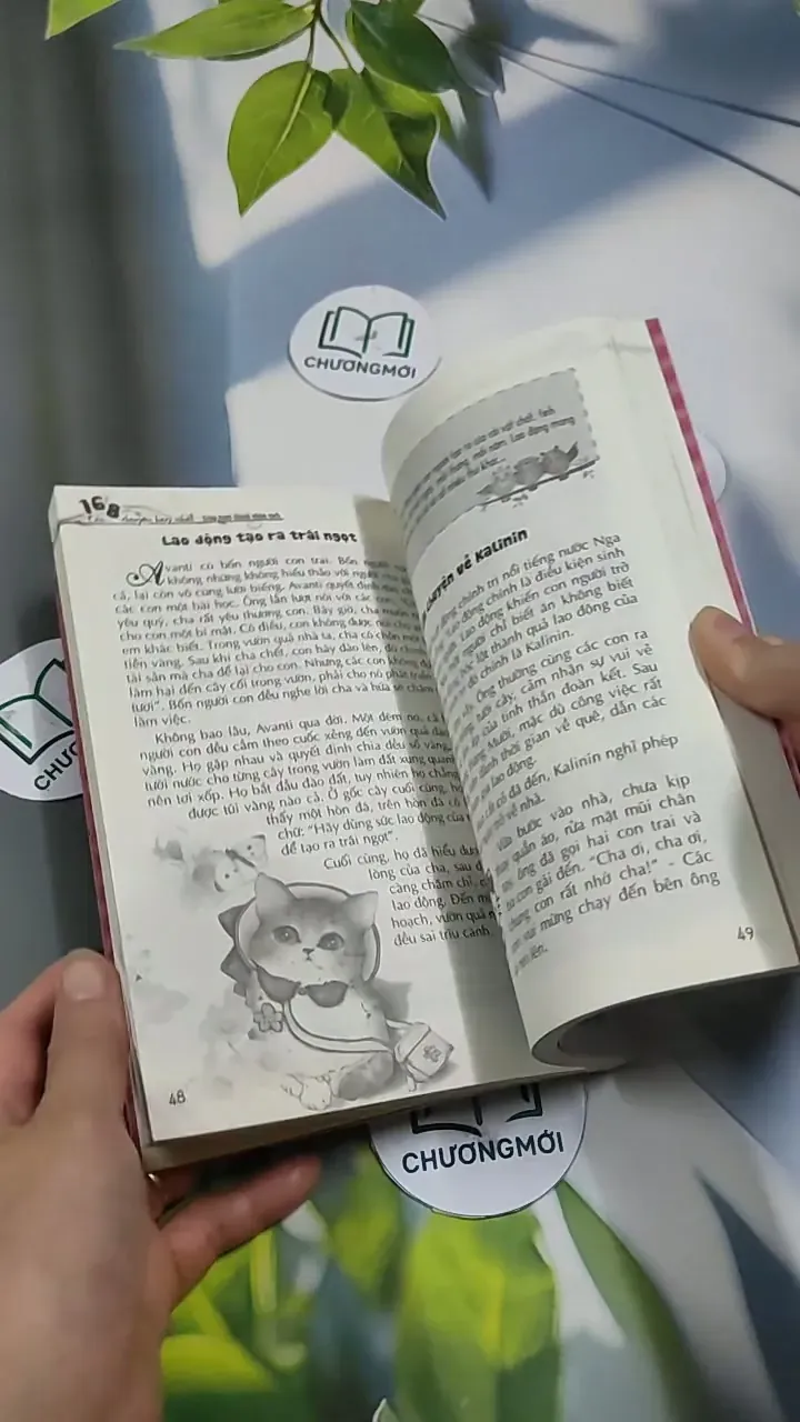 Kỹ năng sống dành cho học sinh: Cậu bé và cỏ tâm an 707317