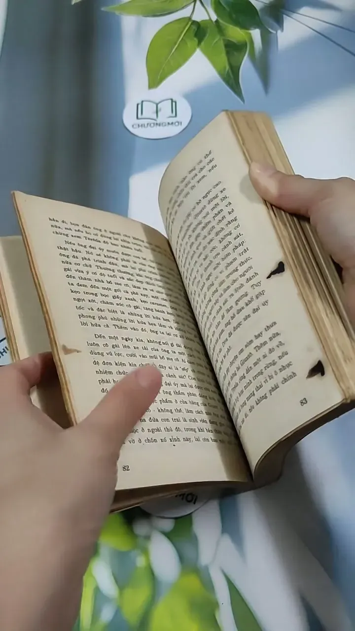 TêRêDa - G. AMaĐô 713871