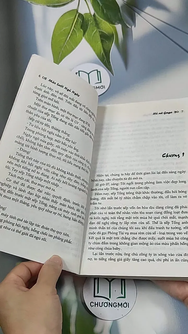 Hủ nữ Gaga - Mèo Lười Ngủ Ngày 688661