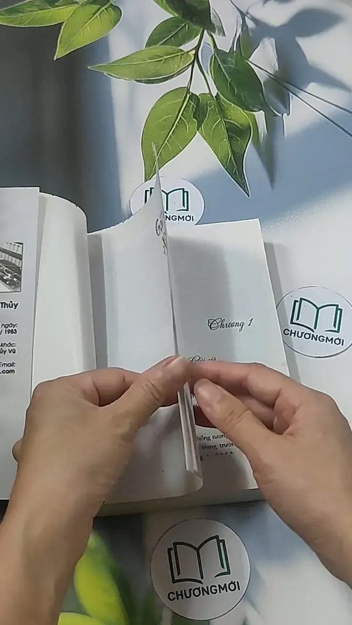 Gái già xì-tin - Nguyễn Thu Thủy 694925