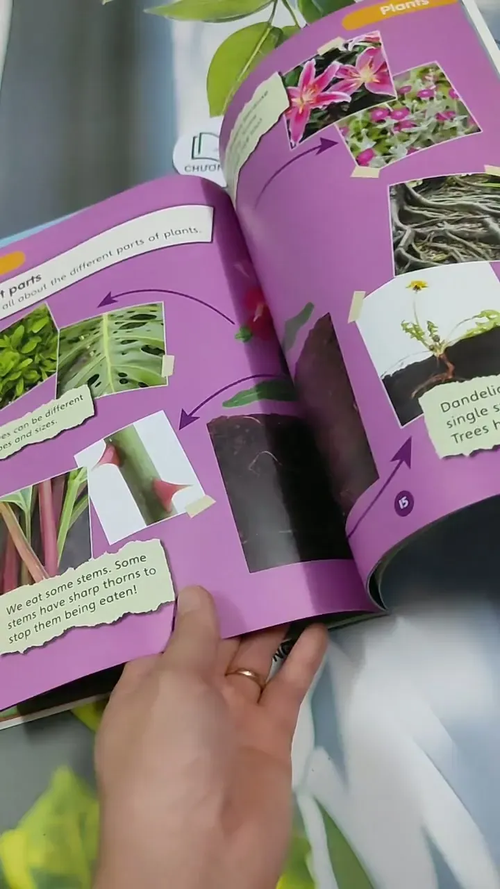 Science Bug Pupil Book Year 159 713904