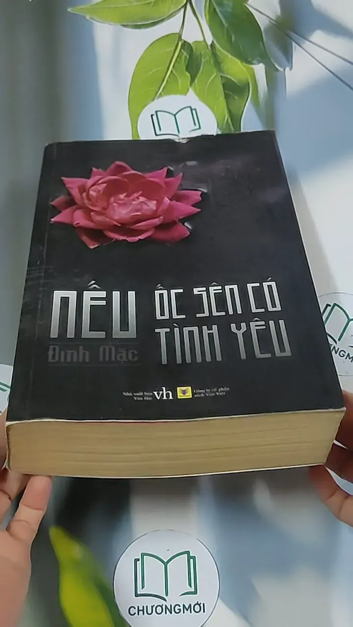 Nếu ốc sên có tình yêu - Đinh Mặc 688711