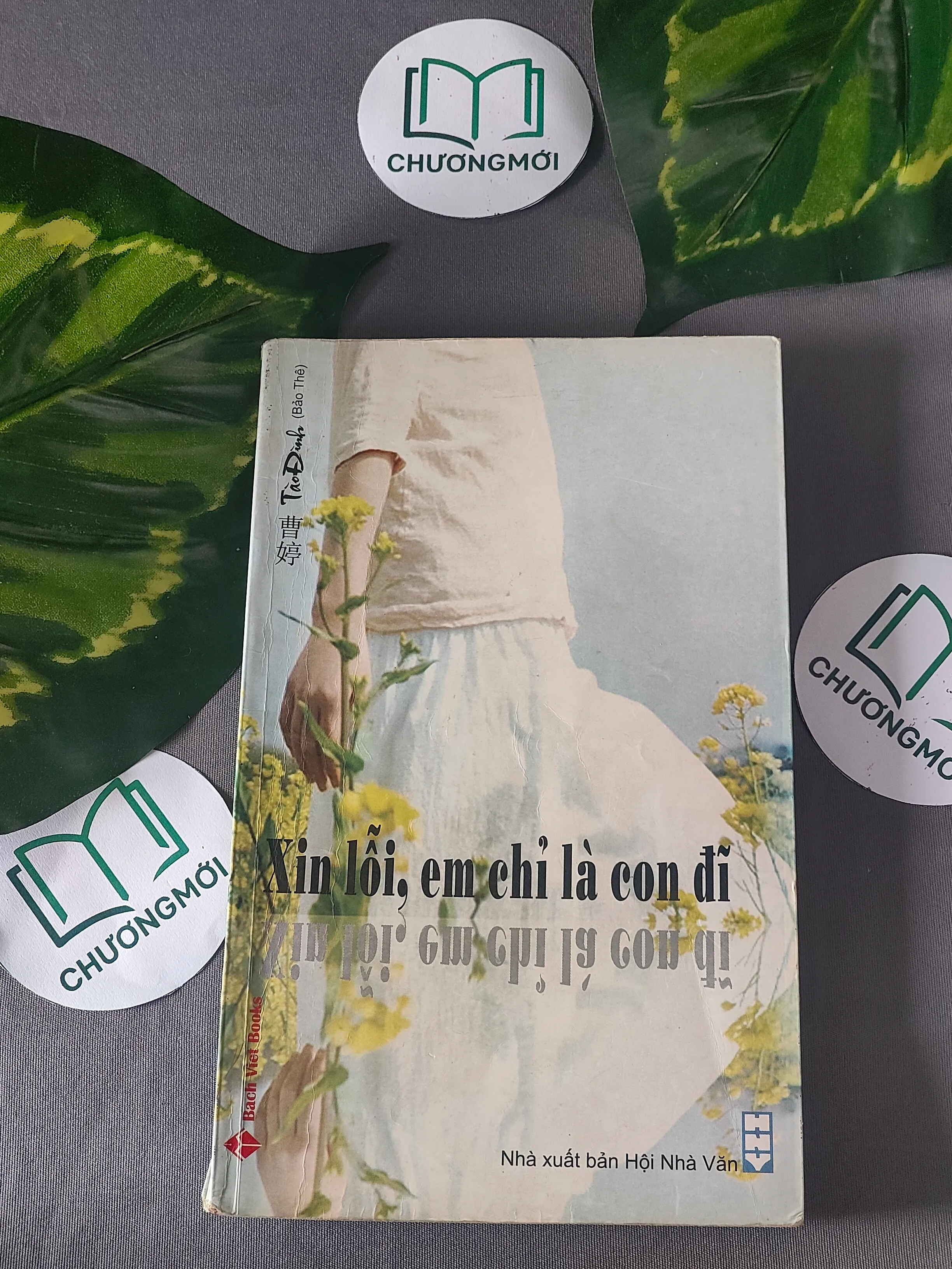 Xin Lỗi, Em Chỉ Là Con Đĩ - Tào Đình