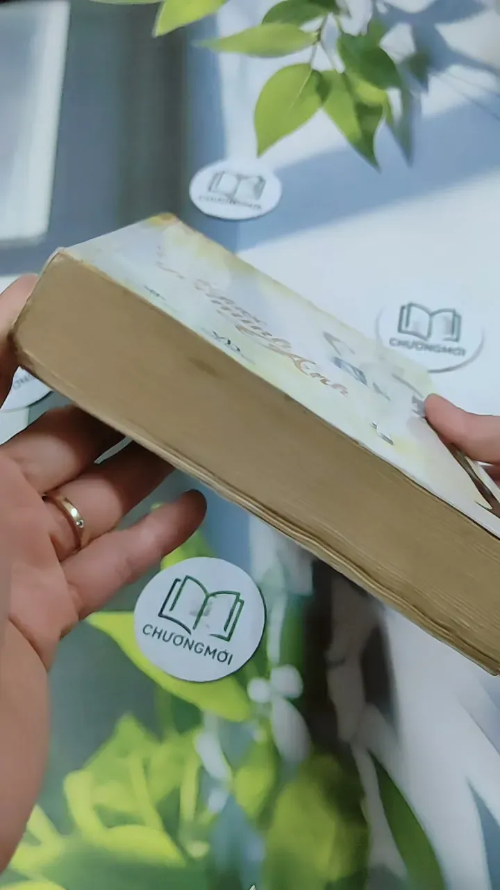 Chỉ Được Yêu Mình Anh - Nam Lăng 744764