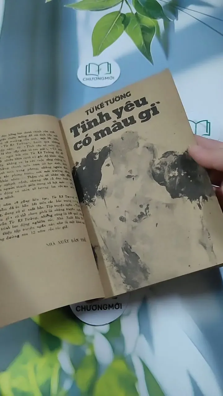 Tình yêu Có Màu Gì - Từ Kế Tường 713864