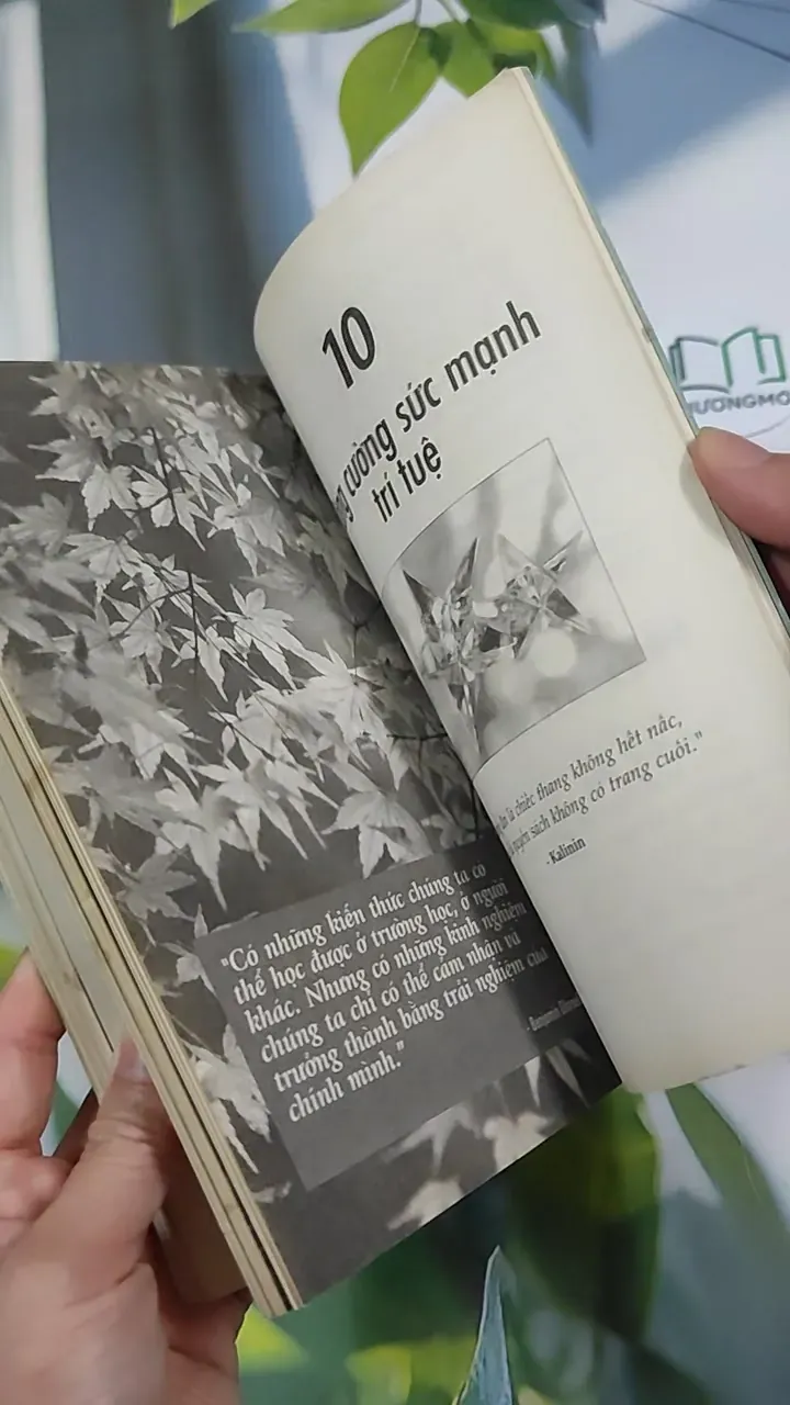 Dám Thành Công - Jack Canfield & Mark Victor Hansen 787105