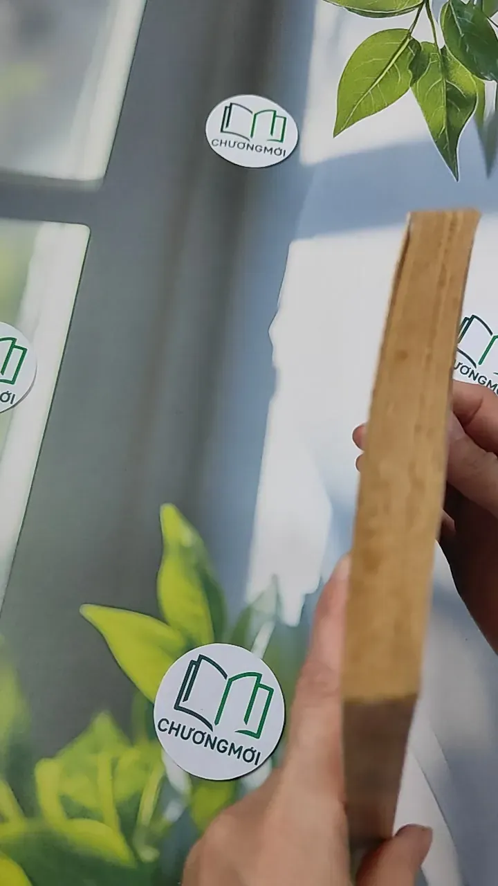 [MIỄN PHÍ BỌC SÁCH] [XƯA] Le Dernier Amour de Jan (1962) - Marie-Anne Desmarest 754538