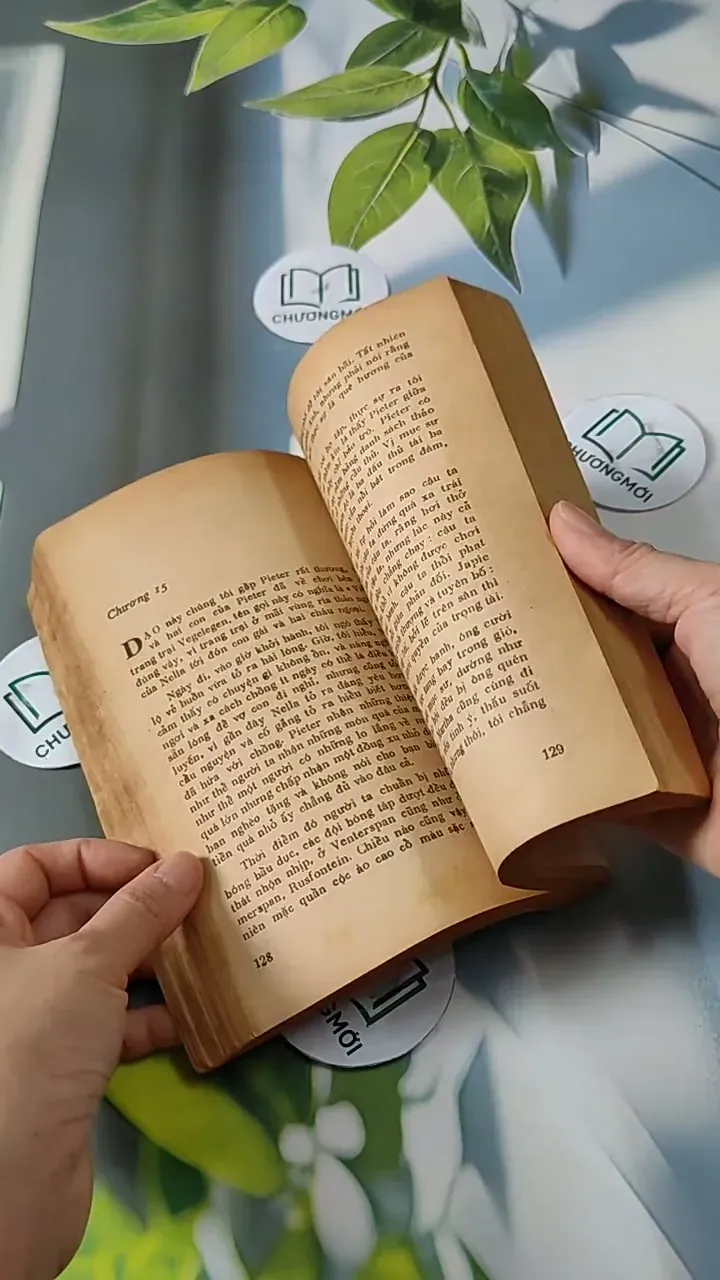 Tuyệt Mù Bóng Chim - Alan Paton 713811