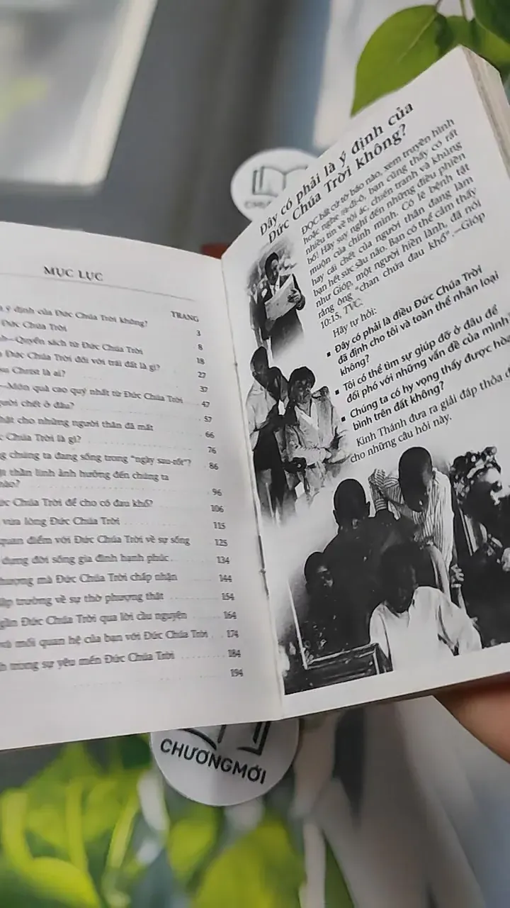 Combo: Kinh Thánh Thật Sự Dạy Gì, Đạo Yêu Thương 727295