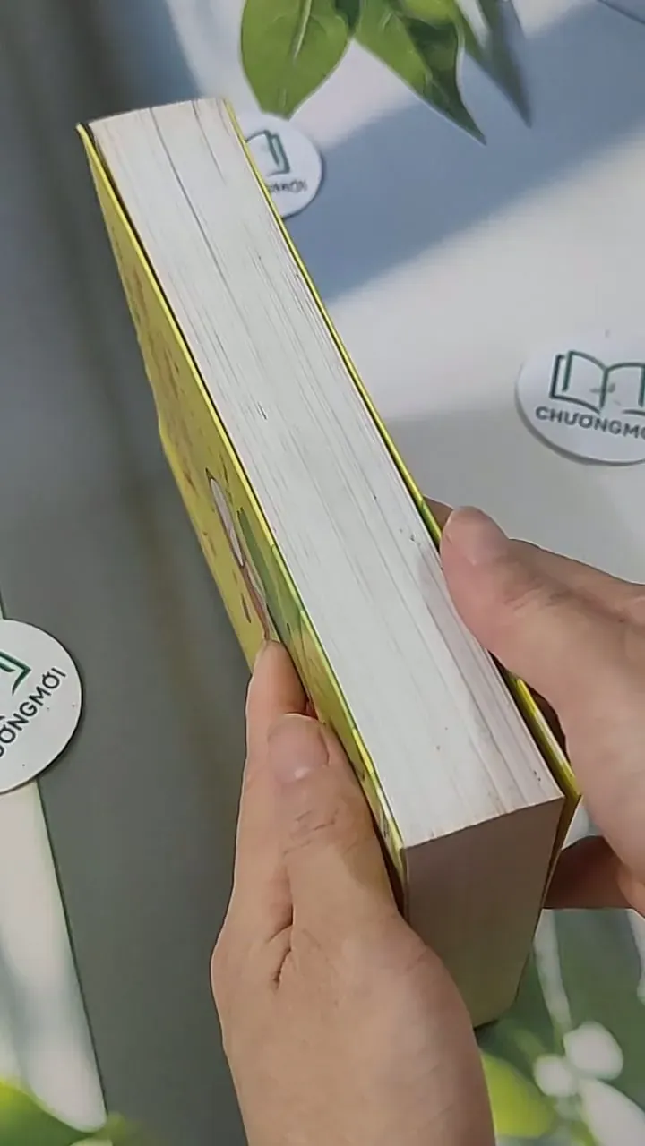 Sự Nhầm Lẫn Tai Hại - Bộ Vi Lan 705599