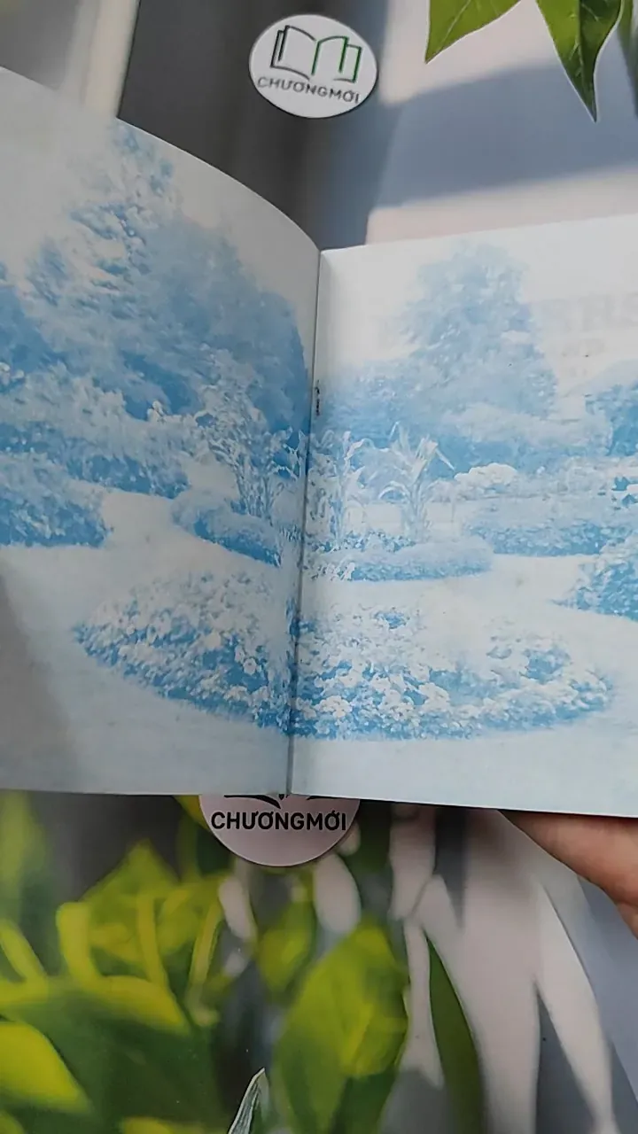 [XƯA] Flowers in Thailand Vol. 12 (1986) - Somsak Sukwong 754504