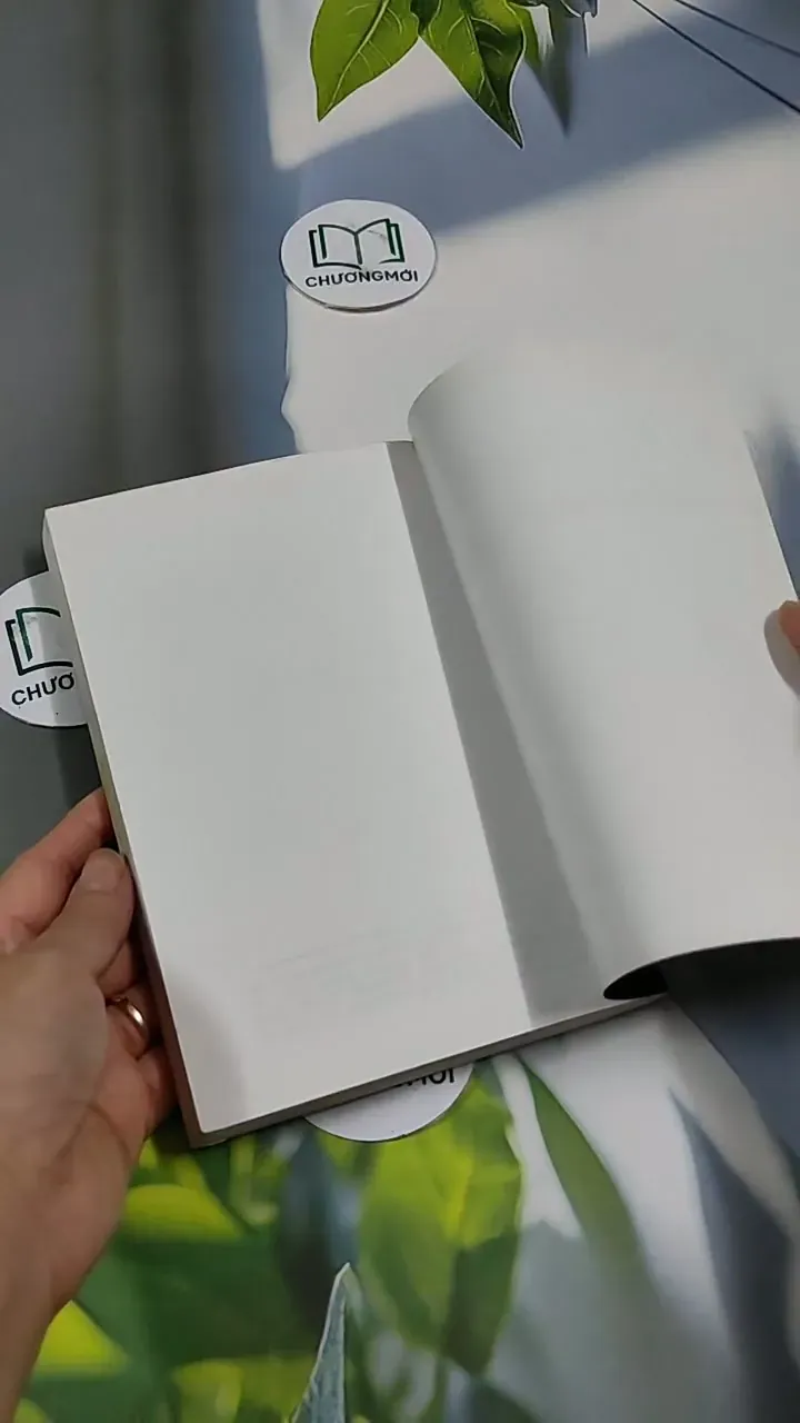 Giấc Mơ Mỹ - Vương Tâm 705661