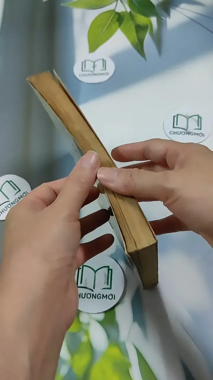 Hoa Hoàng Lan - Nguyễn Phan Hách 713866