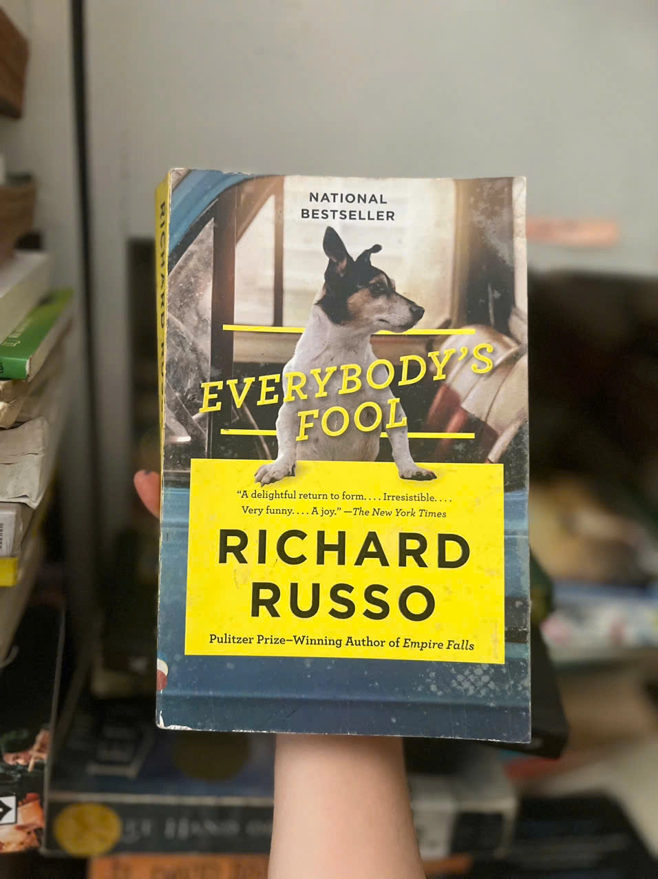 Everybody's Fool by  - Sách Book Cover - Ngọc Hiển Books