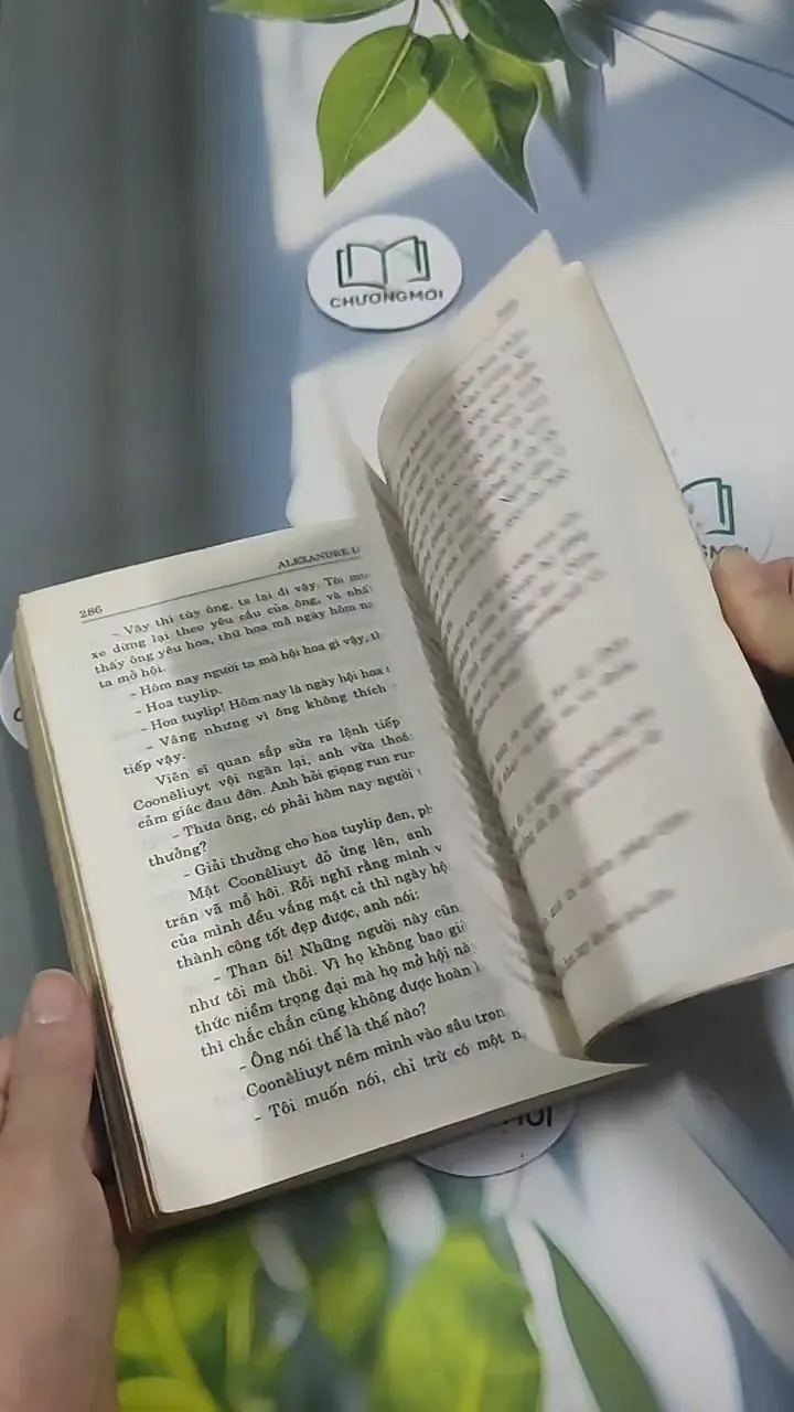 Hoa TuyLip Đen - Alexandre Dumas 715595