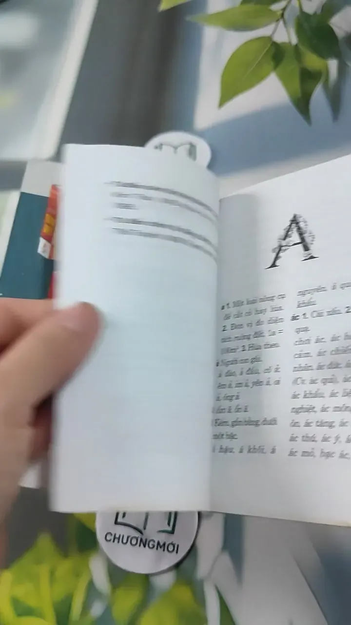 Từ Điển Chính Tả Tiếng Việt 727289