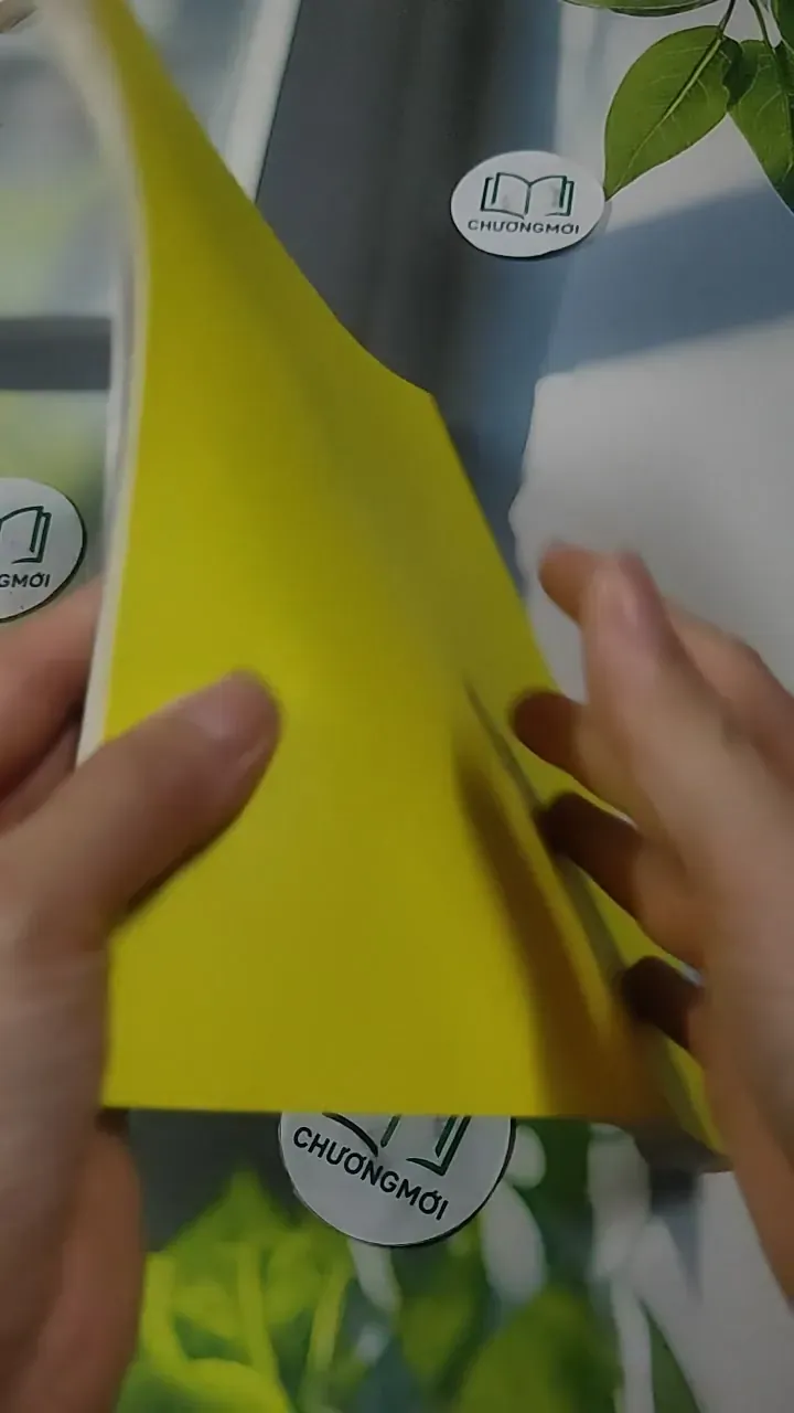 Hoá Giải Sao Hạn - Cách Dâng Sao Hạn Cho Bách Gia 727379