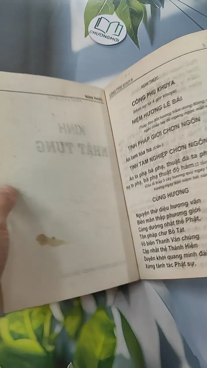 Kinh Nhật Tụng - Thích Đăng Quang 775970