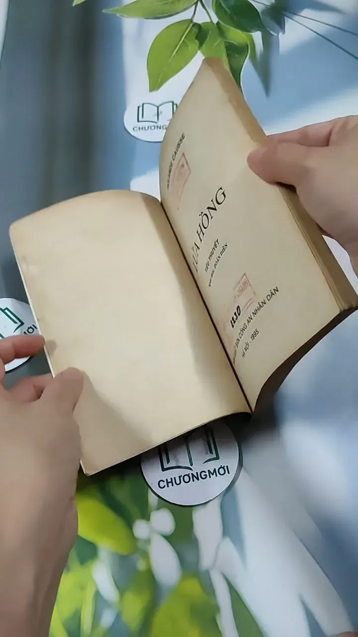 Lửa Hồng - Rolande Cause 713851