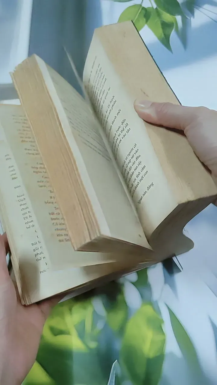 Đen Trắng - Triêu Tiểu Thành 744742