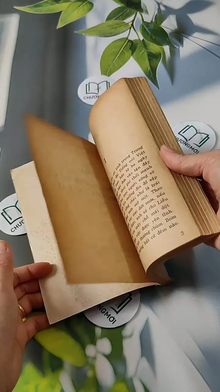 Những Người Đi Và Hai Người Ở Lại - Đinh Quang Nhã 713809